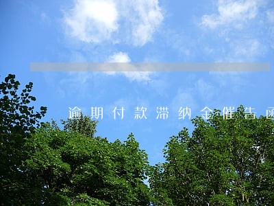 逾期付款滞纳金催告函 逾期付款滞纳金催告函