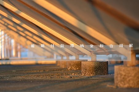 逾期付款滞纳金和合同解除违约金 逾期付款滞纳金和合同解除违约金