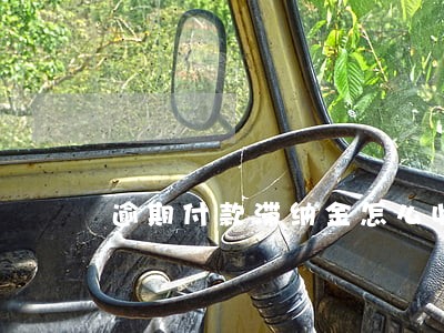 逾期付款滞纳金怎么收取 逾期付款滞纳金怎么收取