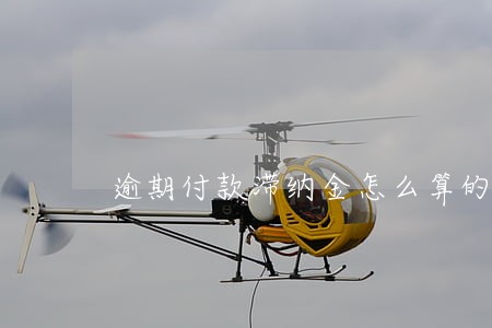 逾期付款滞纳金怎么算的 逾期付款滞纳金怎么算的
