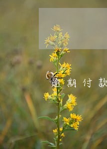 逾期付款滞纳金按万分之五怎么算 逾期付款滞纳金按万分之五怎么算