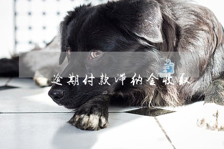 逾期付款滞纳金收取 逾期付款滞纳金收取