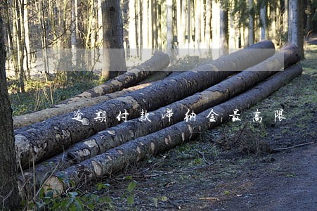 逾期付款滞纳金最高限 逾期付款滞纳金最高限