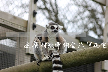 逾期付款滞纳金法律规定 逾期付款滞纳金法律规定