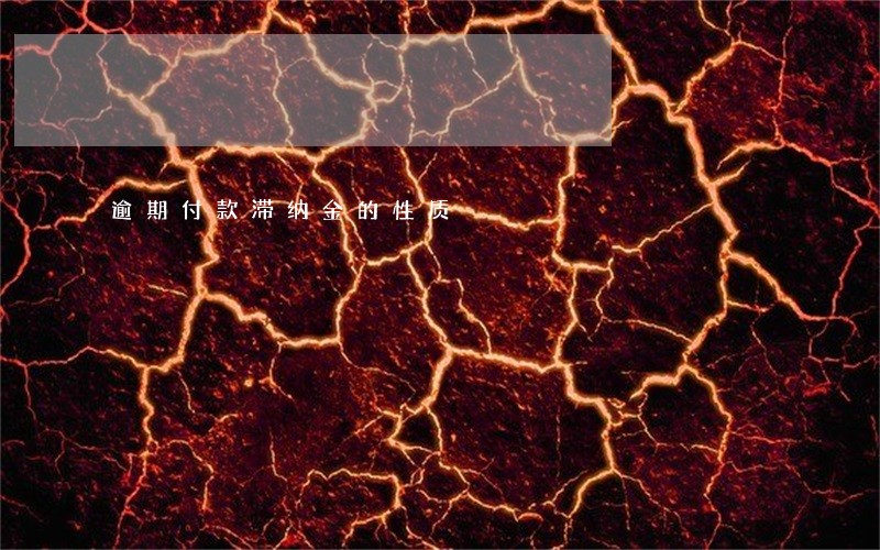 逾期付款滞纳金的性质 逾期付款滞纳金的性质