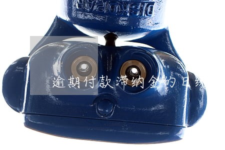 逾期付款滞纳金的日缴纳标准 逾期付款滞纳金的日缴纳标准