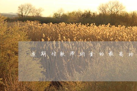 逾期付款滞纳金的最高标准 逾期付款滞纳金的最高标准