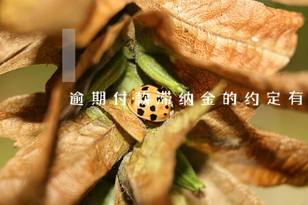 逾期付款滞纳金的约定有效 逾期付款滞纳金的约定有效