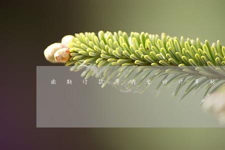 逾期付款滞纳金的计算标准 逾期付款滞纳金的计算标准