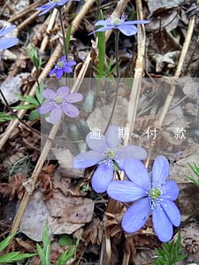 逾期付款滞纳金算法 逾期付款滞纳金算法