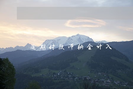 逾期付款滞纳金计入 逾期付款滞纳金计入