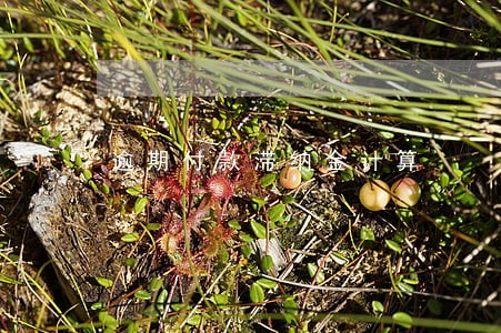 逾期付款滞纳金计算 逾期付款滞纳金计算