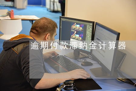 逾期付款滞纳金计算器 逾期付款滞纳金计算器