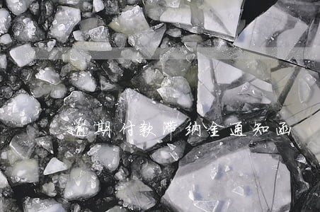 逾期付款滞纳金通知函 逾期付款滞纳金通知函