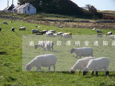逾期付款滞纳金通知函格式 逾期付款滞纳金通知函格式