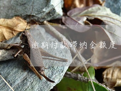 逾期付款滞纳金额度 逾期付款滞纳金额度
