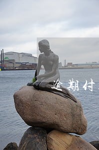 逾期付款申请单 逾期付款申请单