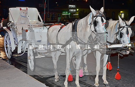 逾期付款申请日期 逾期付款申请日期