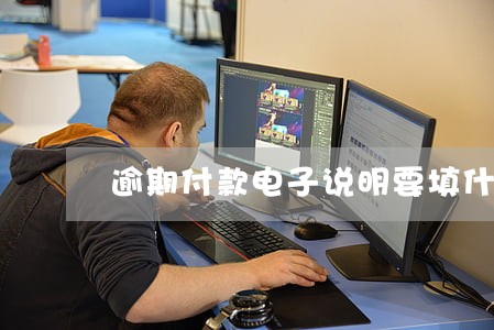 逾期付款电子说明要填什么影响
