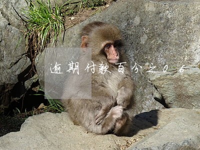 逾期付款百分之06 逾期付款百分之06
