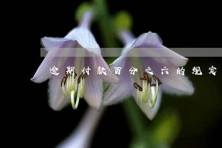 逾期付款百分之六的规定 逾期付款百分之六的规定