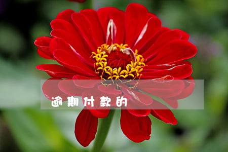 逾期付款的