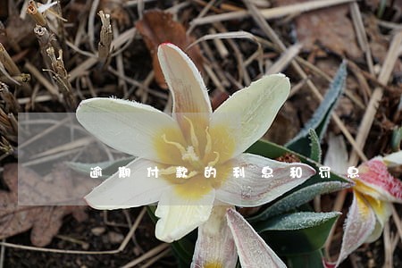 逾期付款的利息和罚息 逾期付款的利息和罚息