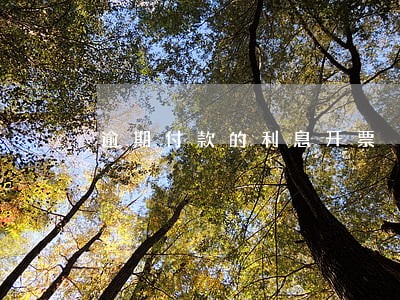 逾期付款的利息开票 逾期付款的利息开票