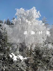 逾期付款的利息怎么开票