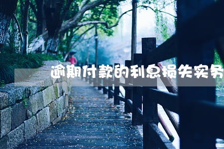 逾期付款的利息损失实务中认定