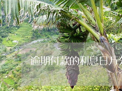 逾期付款的利息日万分之 逾期付款的利息日万分之
