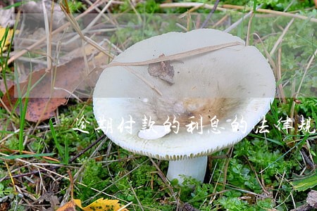逾期付款的利息的法律规定 逾期付款的利息的法律规定