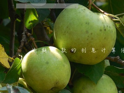 逾期付款的利息计算依据 逾期付款的利息计算依据