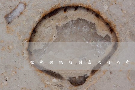 逾期付款的利息进什么科目 逾期付款的利息进什么科目