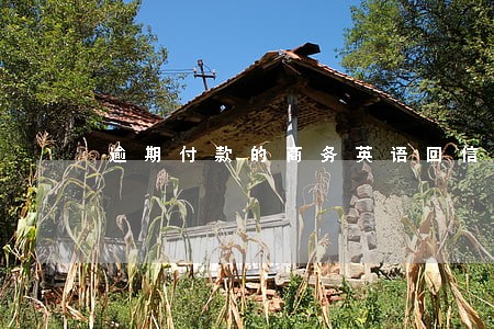 逾期付款的商务英语回信