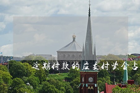 逾期付款的应支付资金占用利息 逾期付款的应支付资金占用利息