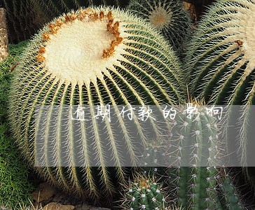 逾期付款的影响 逾期付款的影响