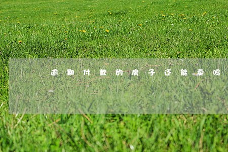 逾期付款的房子还能卖吗 逾期付款的房子还能卖吗