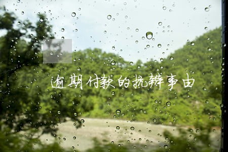 逾期付款的抗辩事由 逾期付款的抗辩事由