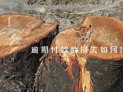 逾期付款的损失如何计算 逾期付款的损失如何计算