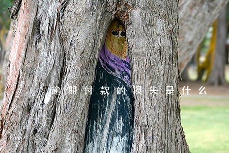 逾期付款的损失是什么 逾期付款的损失是什么