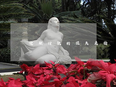 逾期付款的损失是指