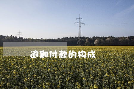 逾期付款的构成 逾期付款的构成