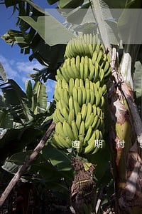 逾期付款的比例是什么意思 逾期付款的比例是什么意思