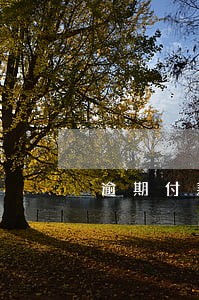 逾期付款的法律依据 逾期付款的法律依据