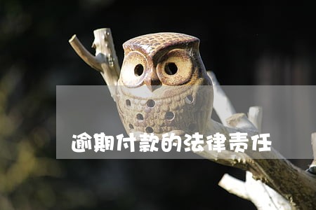 逾期付款的法律责任 逾期付款的法律责任