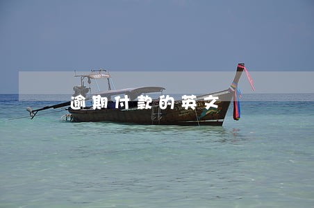 逾期付款的英文