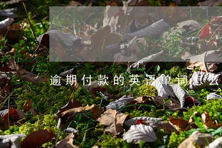 逾期付款的英语单词怎么写