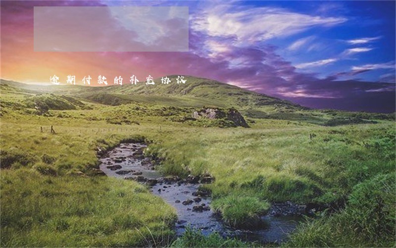 逾期付款的补充协议 逾期付款的补充协议