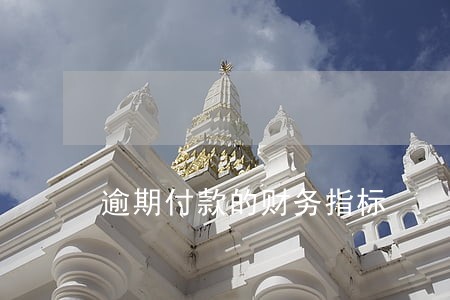 逾期付款的财务指标 逾期付款的财务指标